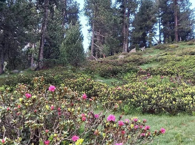 Appartement Casa Marcos